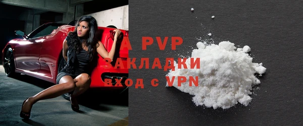 гидра Белокуриха