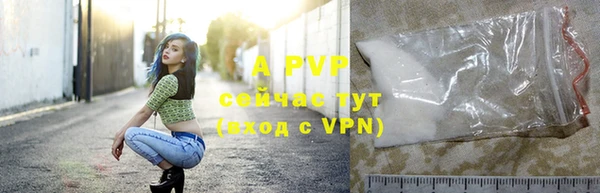 гидра Белокуриха