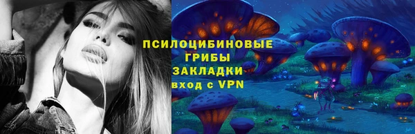 гидра Белокуриха